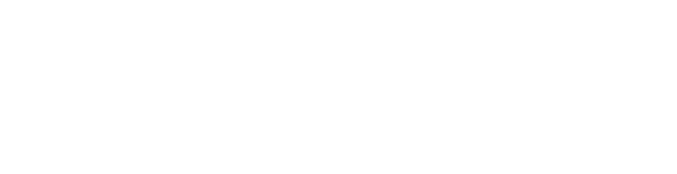 blue_solution Logo white